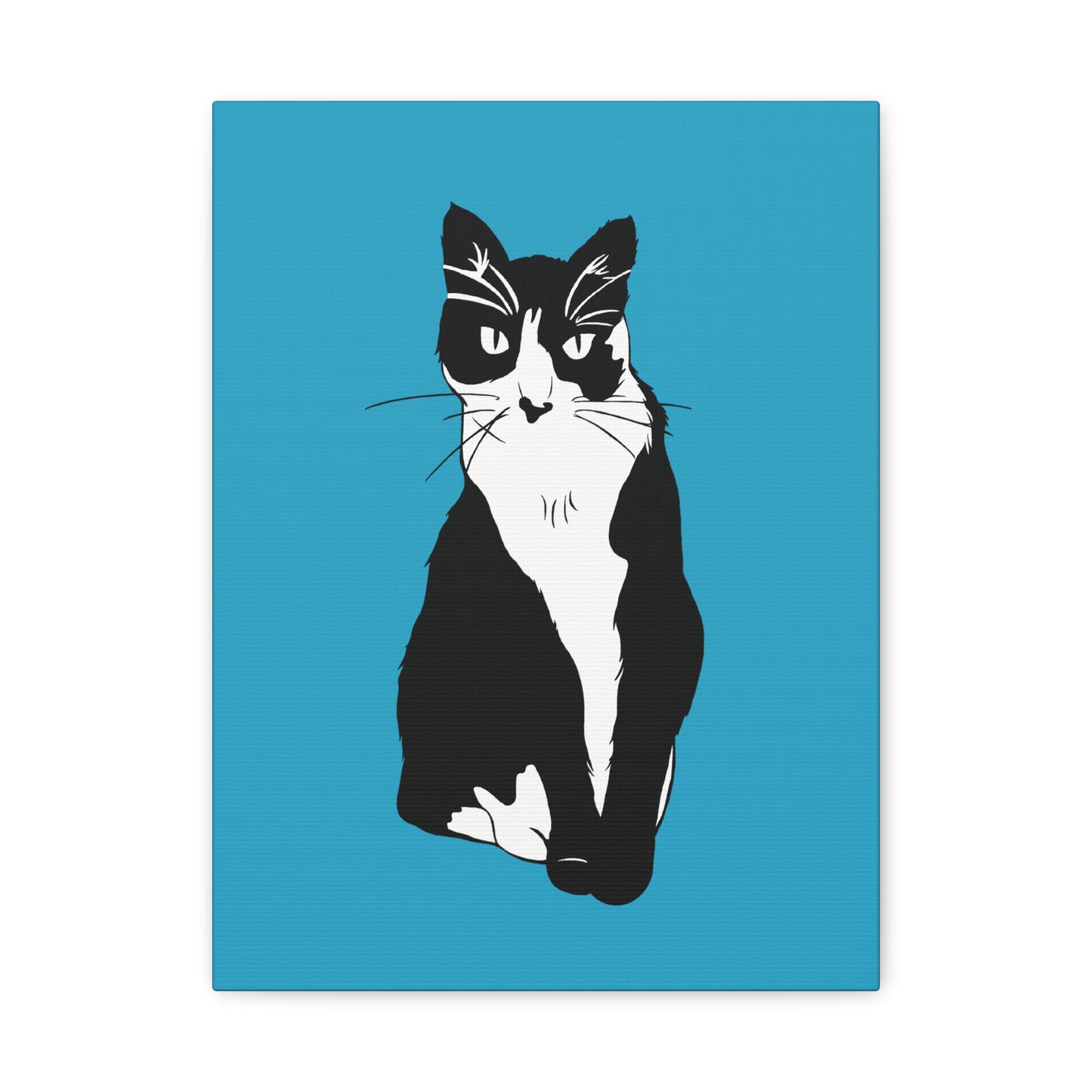 Cat Canvas on Turquoise (B&W Style Cat) - Cat Drawing Art