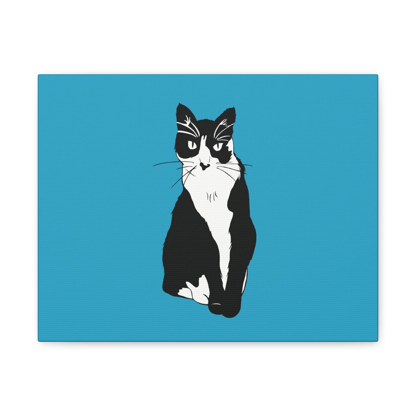 Cat Canvas on Turquoise (B&W Style Cat) - Cat Drawing Art