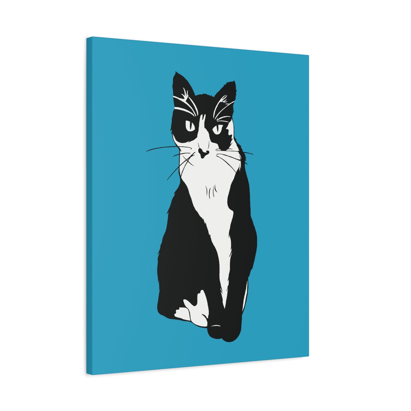 Cat Canvas on Turquoise (B&W Style Cat) - Cat Drawing Art