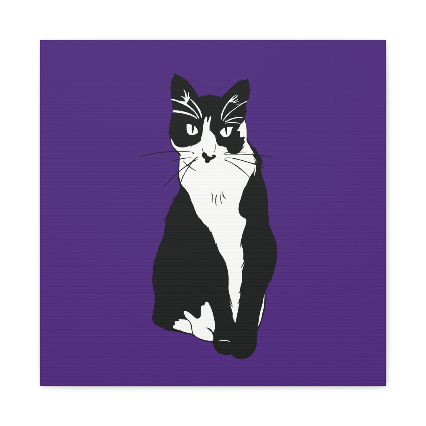 Cat Canvas on Purple (B&W Style Cat) - Cat Drawing Art