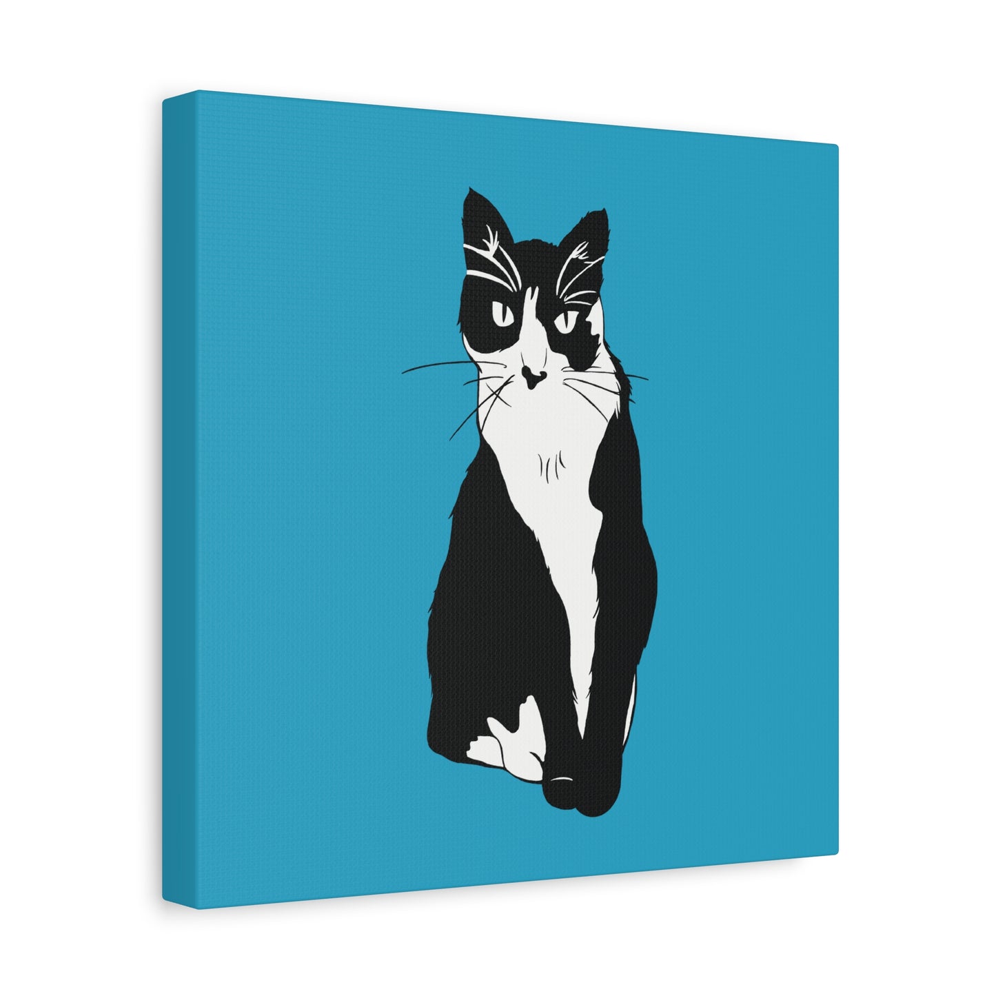 Cat Canvas on Turquoise (B&W Style Cat) - Cat Drawing Art