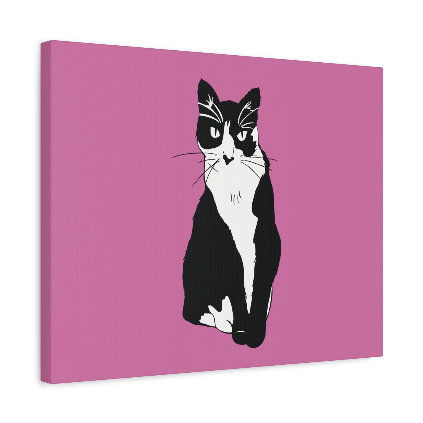 Cat Canvas on Light Pink (B&W Style Cat) - Cat Drawing Art