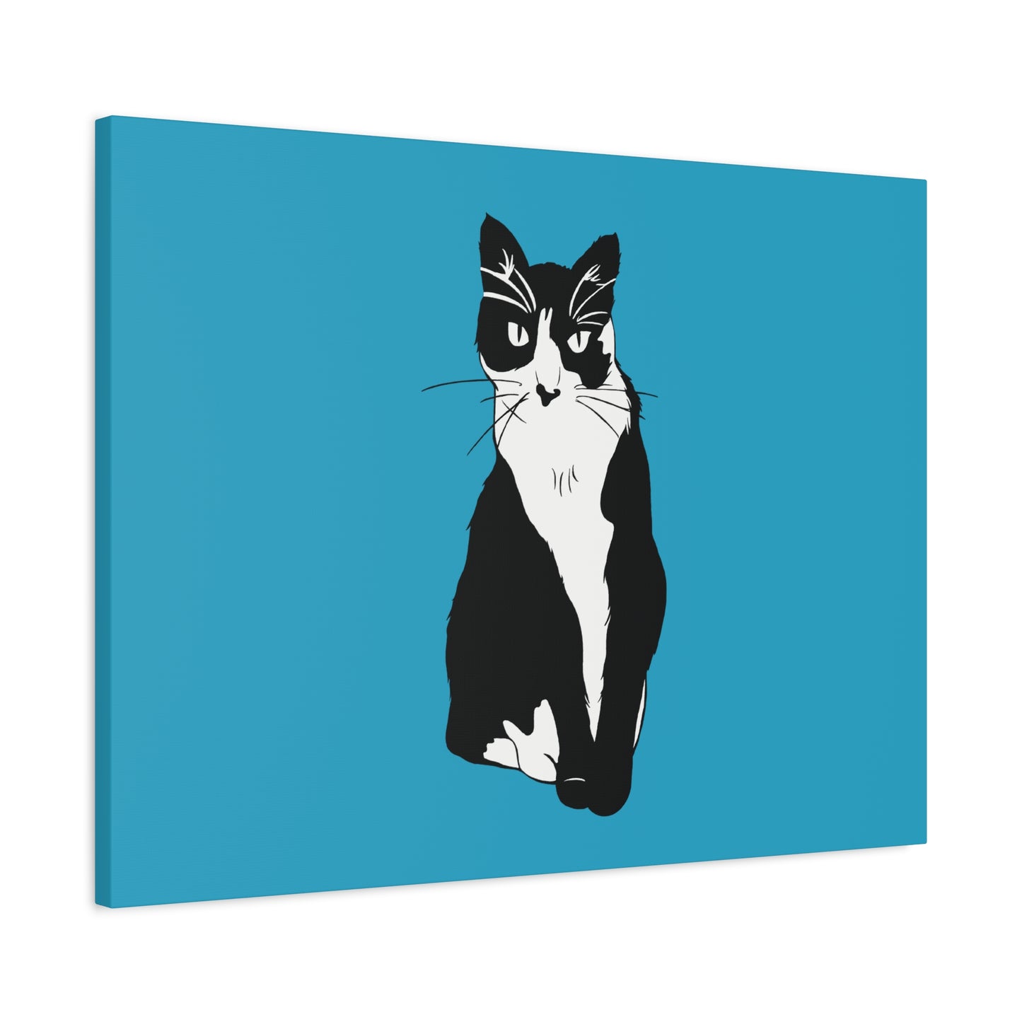 Cat Canvas on Turquoise (B&W Style Cat) - Cat Drawing Art