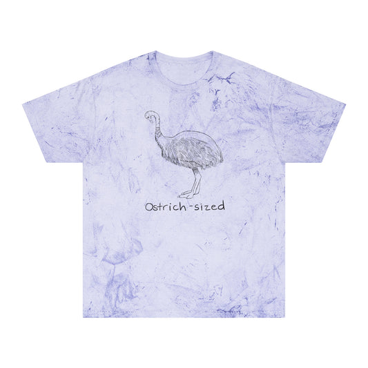 Ostrich-sized Color Blast Tee