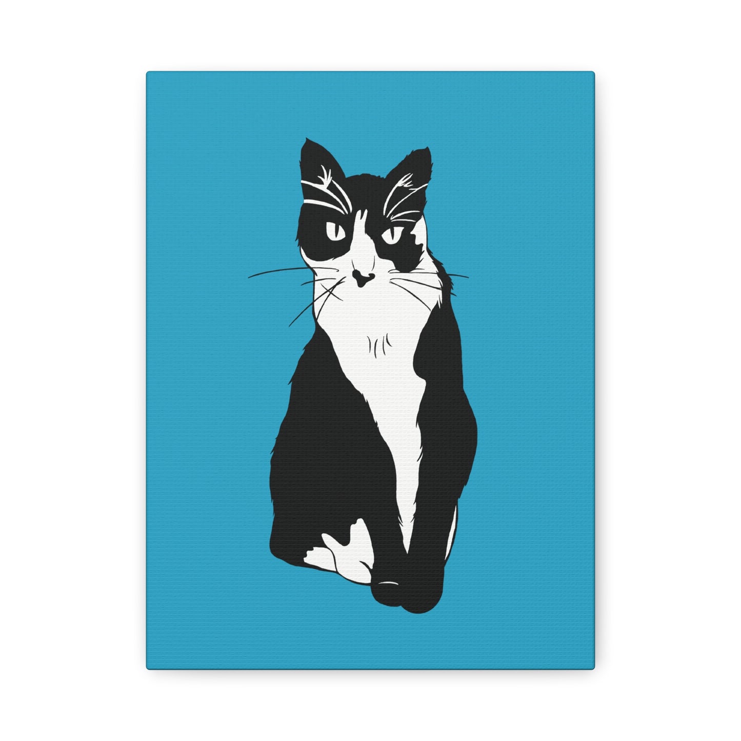 Cat Canvas on Turquoise (B&W Style Cat) - Cat Drawing Art