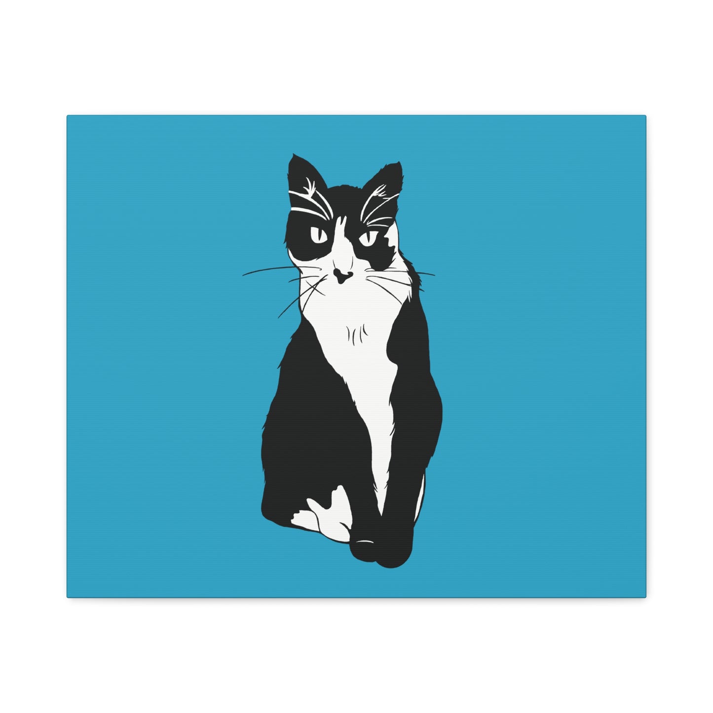 Cat Canvas on Turquoise (B&W Style Cat) - Cat Drawing Art