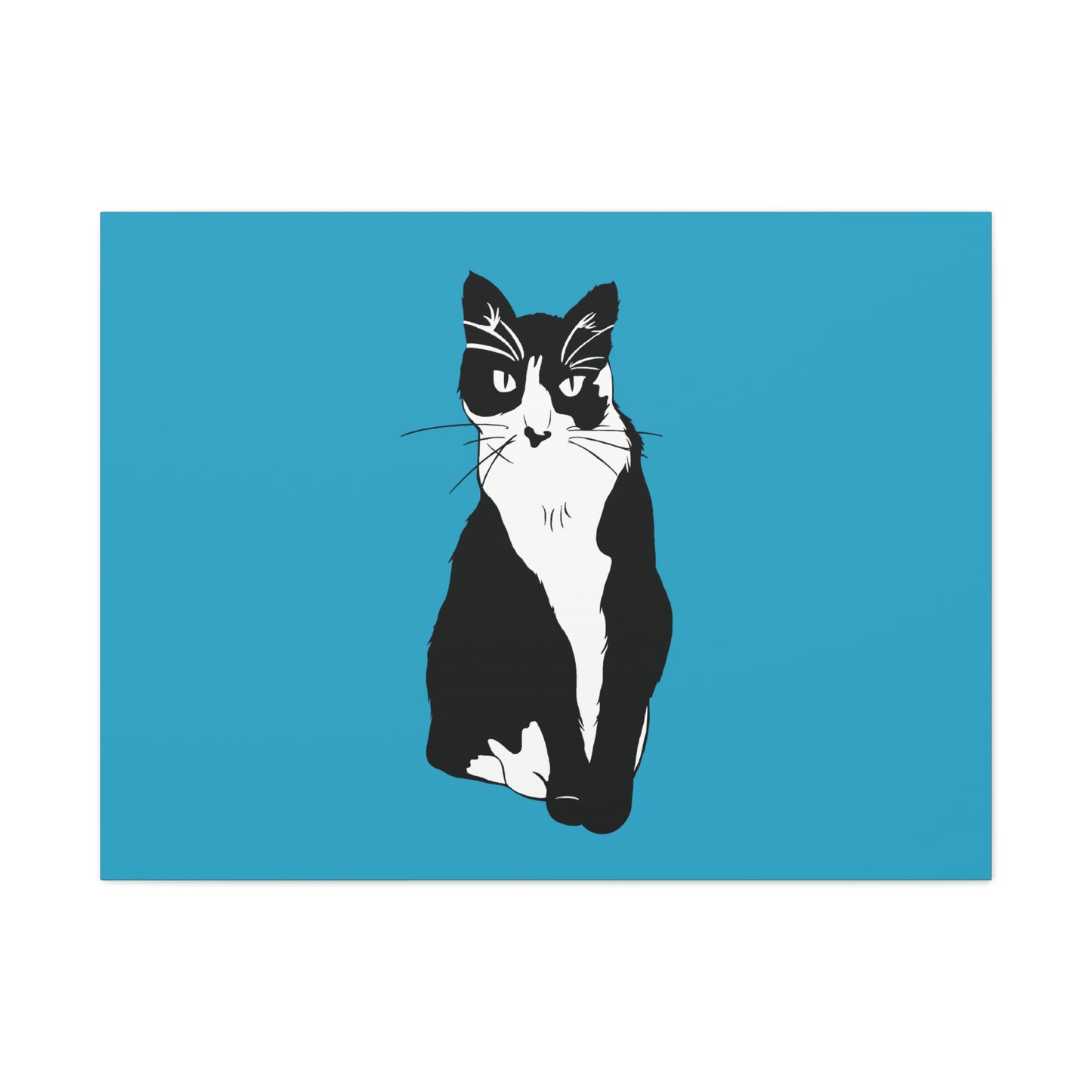 Cat Canvas on Turquoise (B&W Style Cat) - Cat Drawing Art