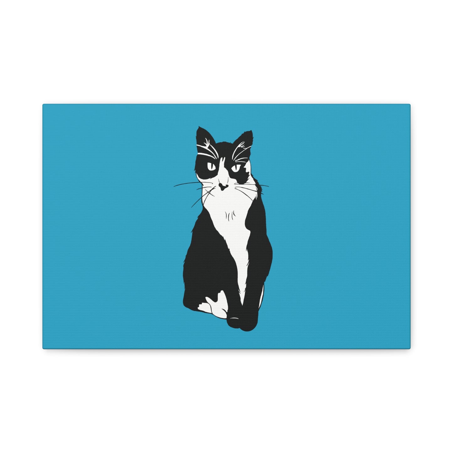 Cat Canvas on Turquoise (B&W Style Cat) - Cat Drawing Art