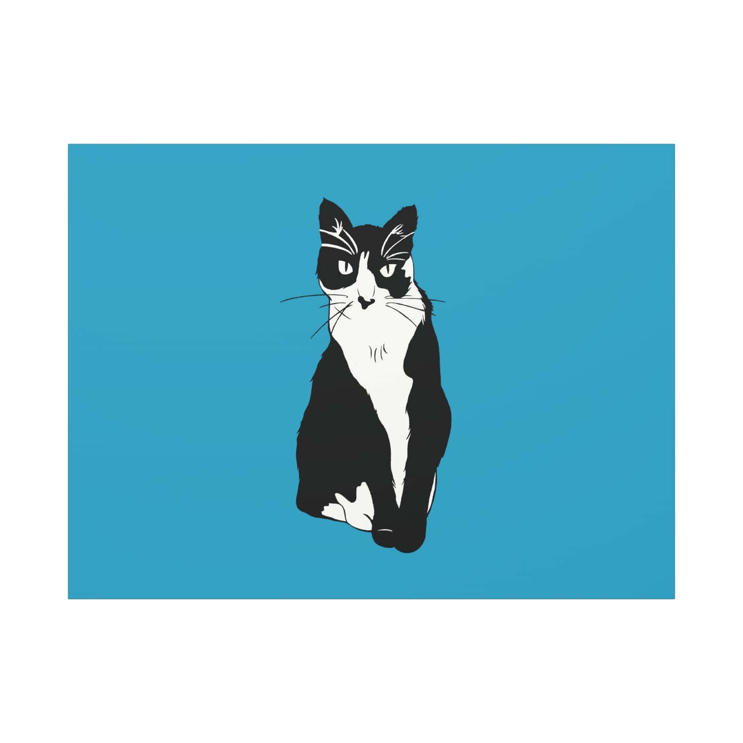 Cat Canvas on Turquoise (B&W Style Cat) - Cat Drawing Art