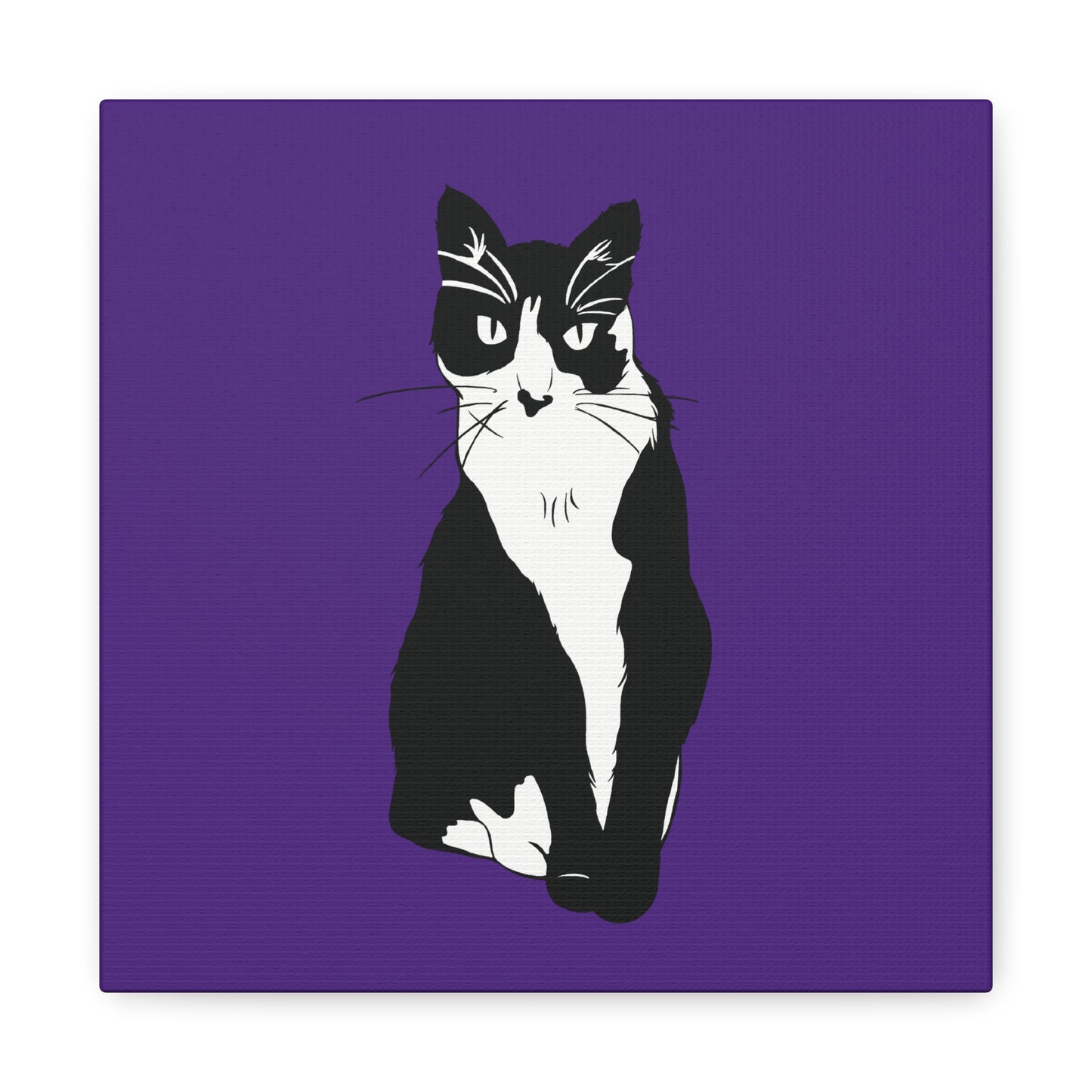 Cat Canvas on Purple (B&W Style Cat) - Cat Drawing Art