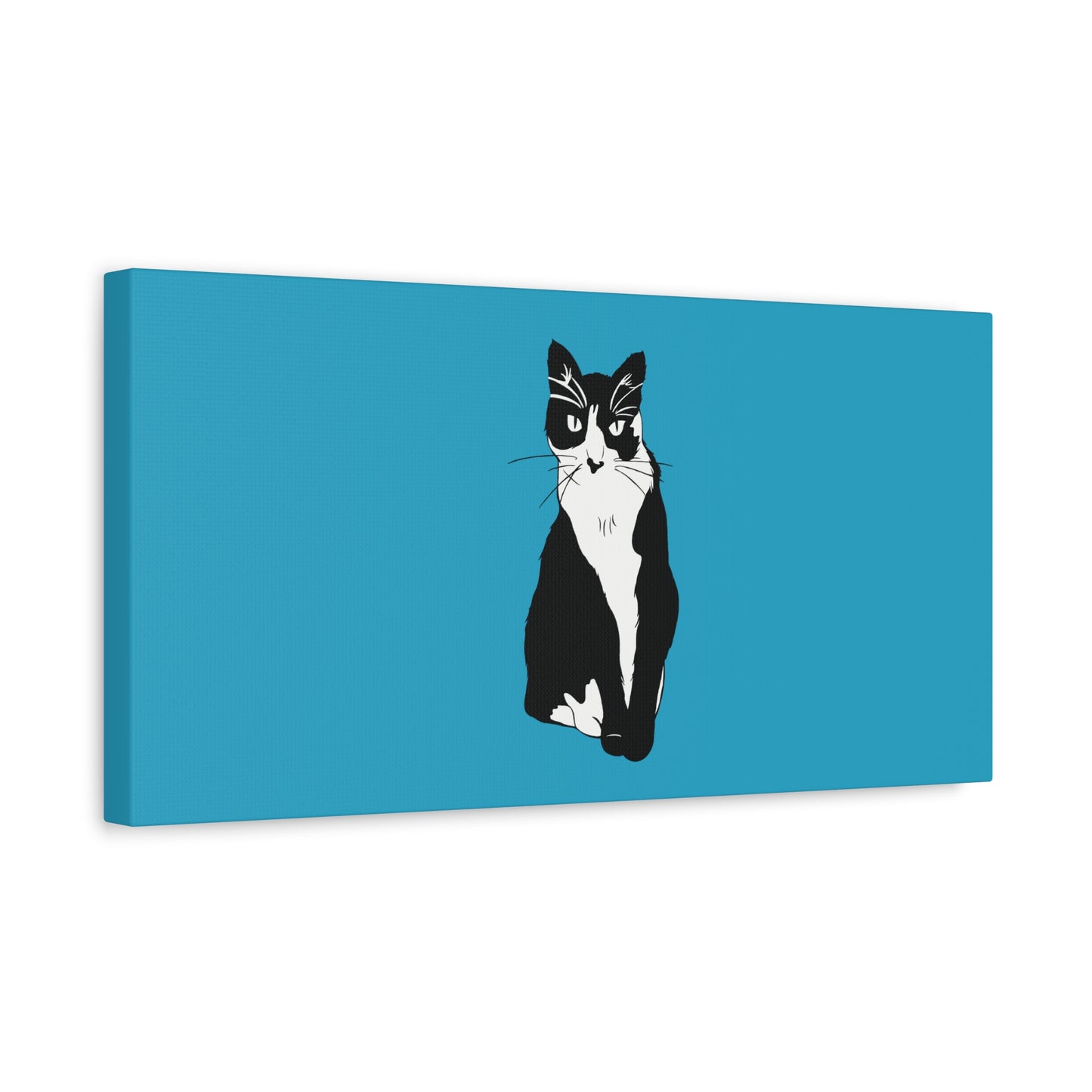 Cat Canvas on Turquoise (B&W Style Cat) - Cat Drawing Art