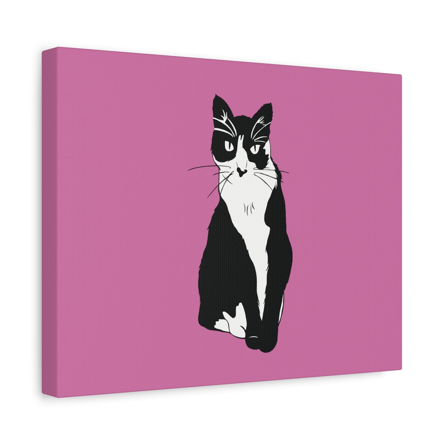 Cat Canvas on Light Pink (B&W Style Cat) - Cat Drawing Art