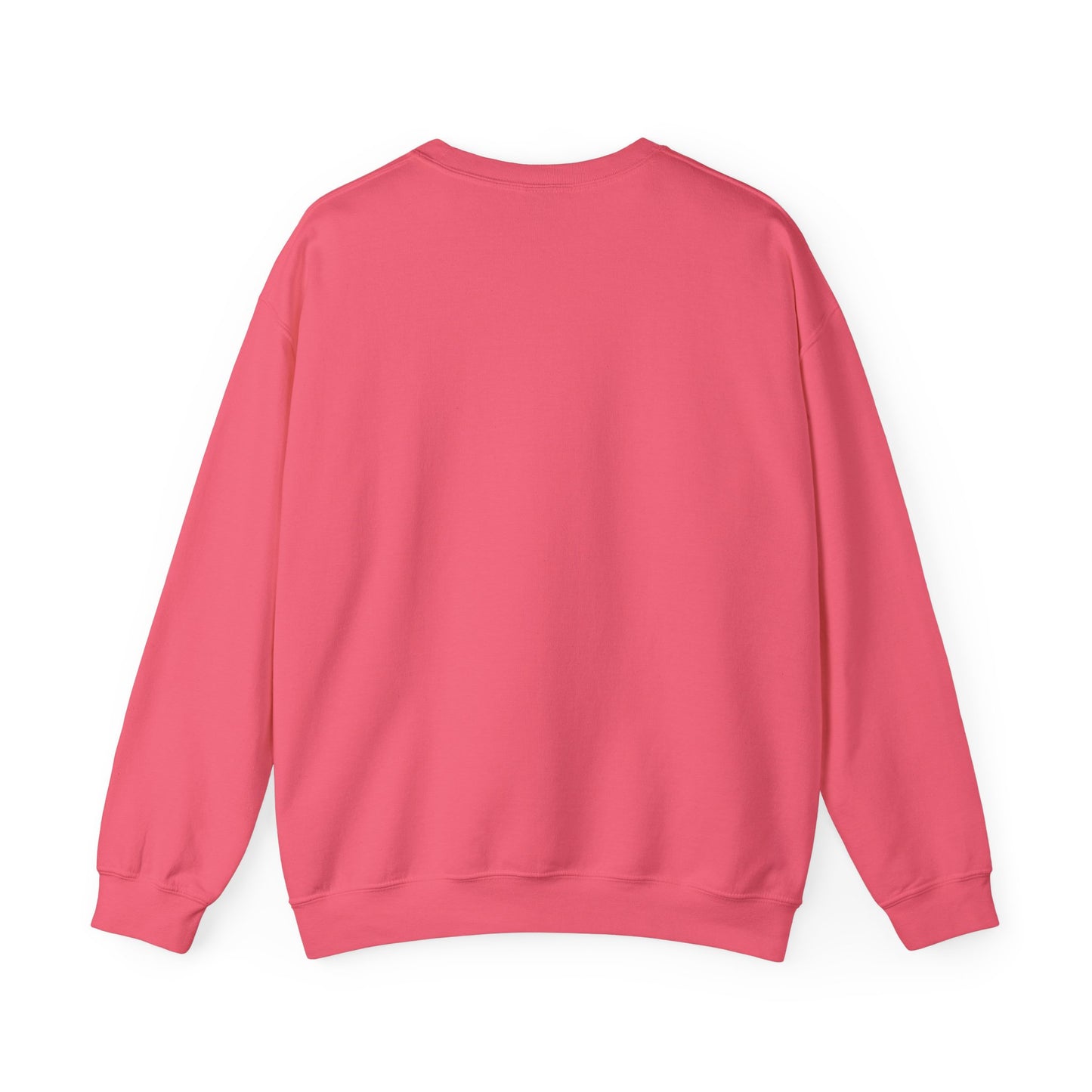 I Won't Stand For It Seagull Sweatshirt
