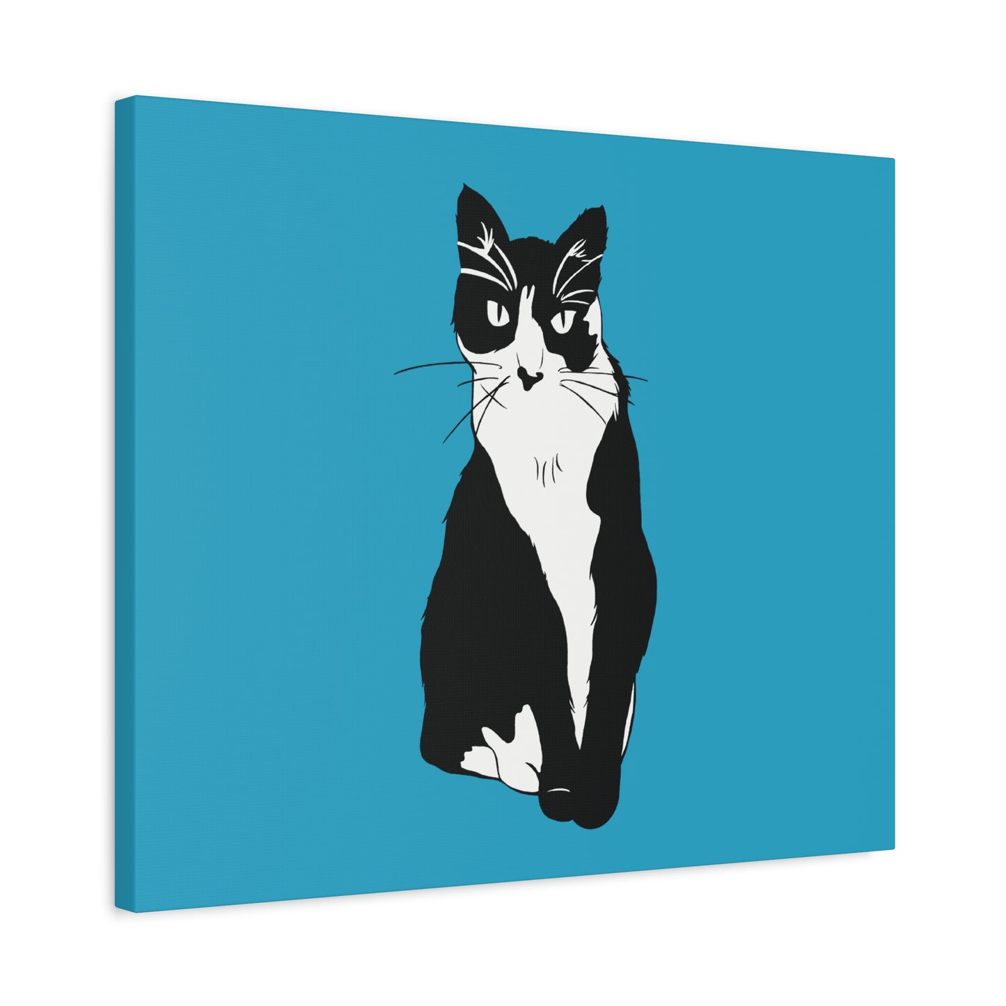 Cat Canvas on Turquoise (B&W Style Cat) - Cat Drawing Art