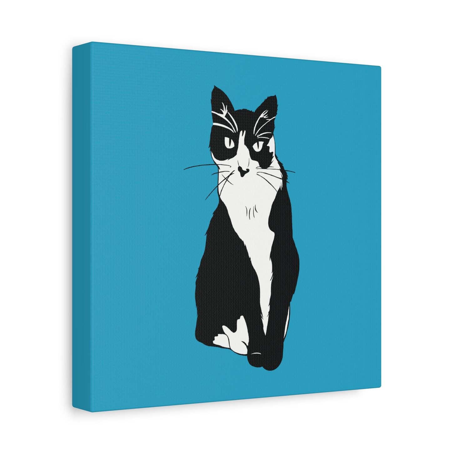 Cat Canvas on Turquoise (B&W Style Cat) - Cat Drawing Art