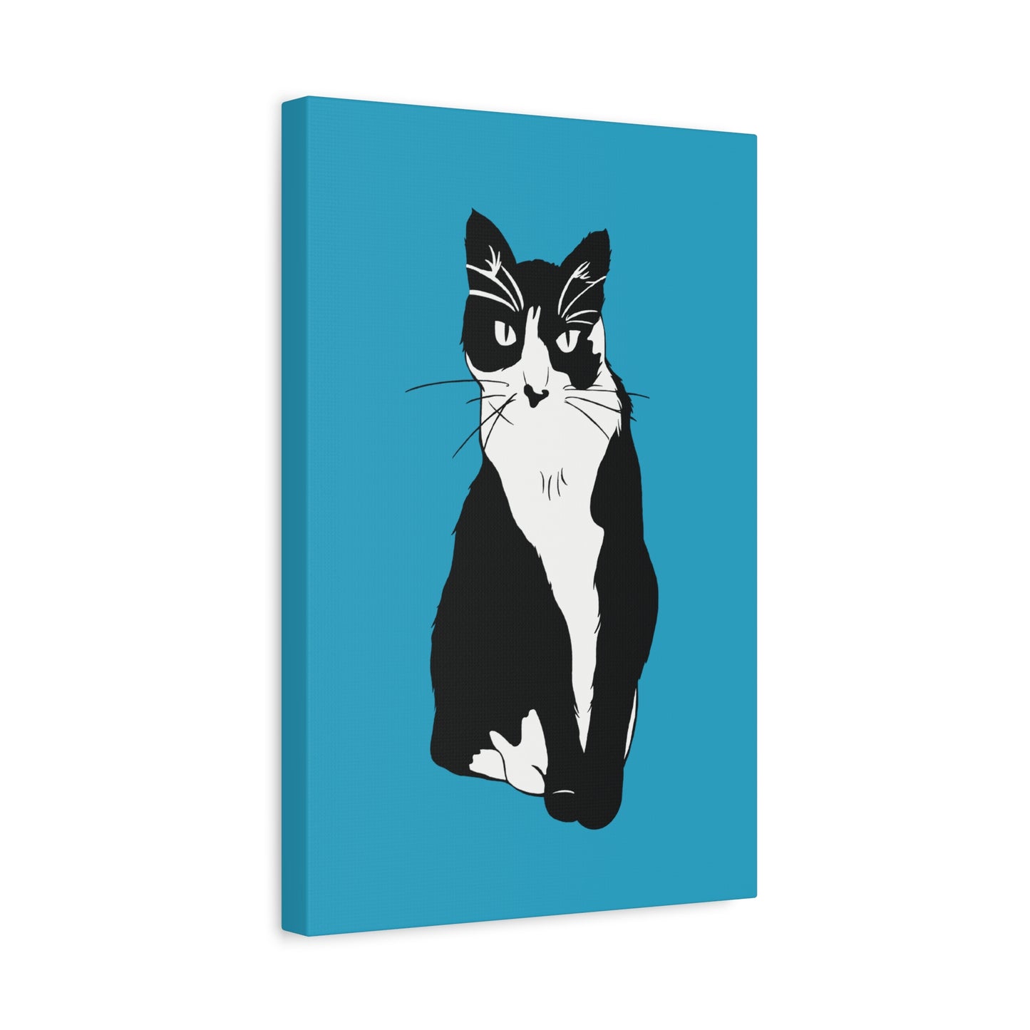 Cat Canvas on Turquoise (B&W Style Cat) - Cat Drawing Art