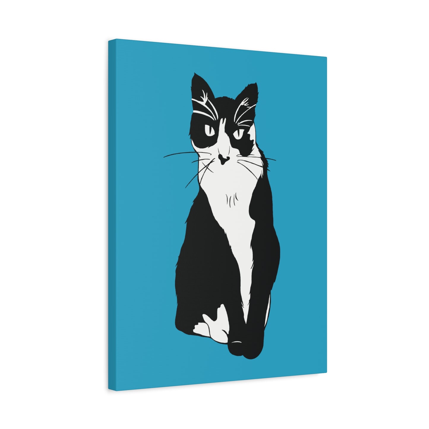 Cat Canvas on Turquoise (B&W Style Cat) - Cat Drawing Art