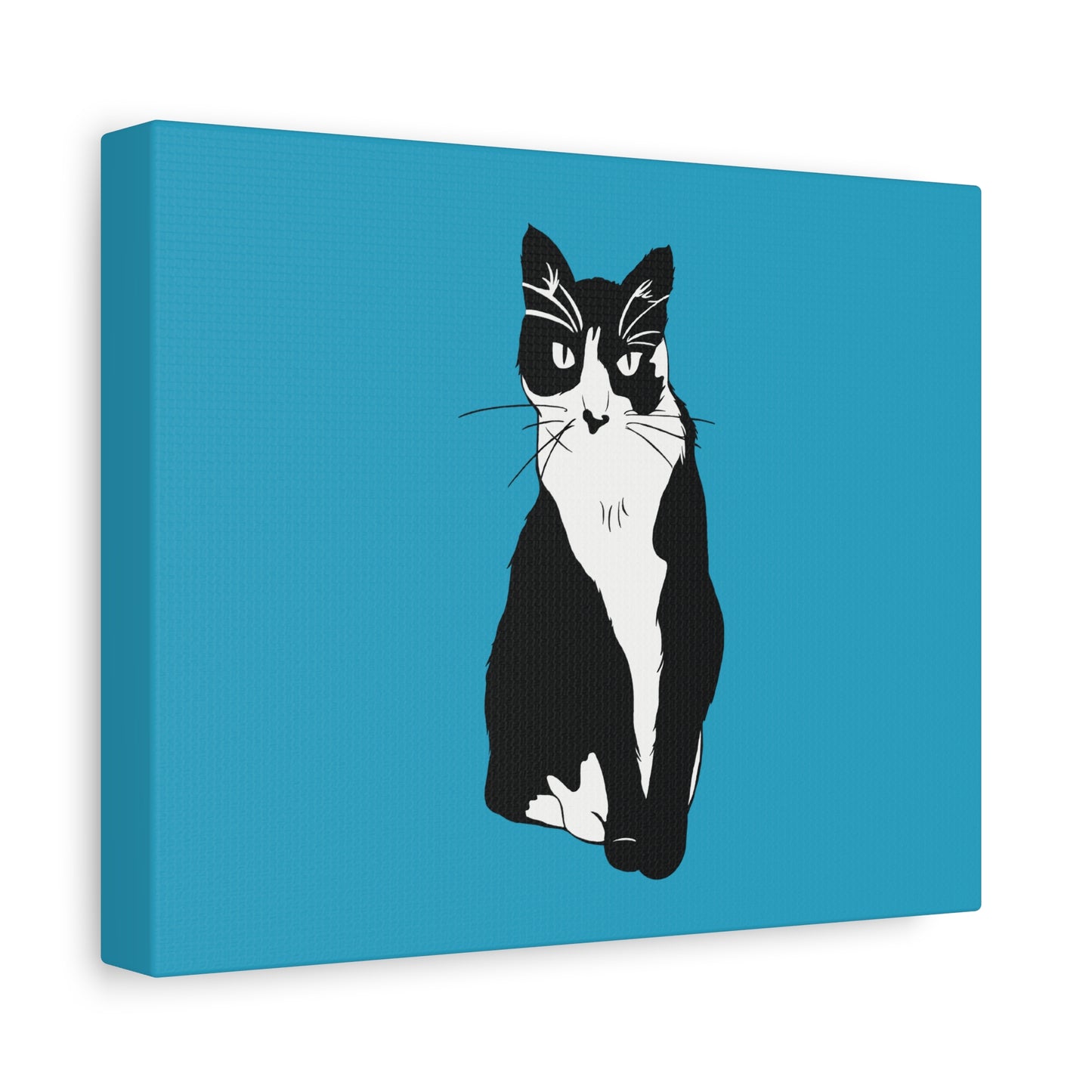 Cat Canvas on Turquoise (B&W Style Cat) - Cat Drawing Art