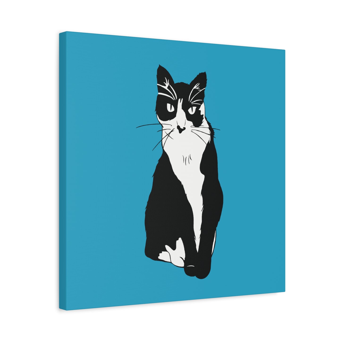 Cat Canvas on Turquoise (B&W Style Cat) - Cat Drawing Art