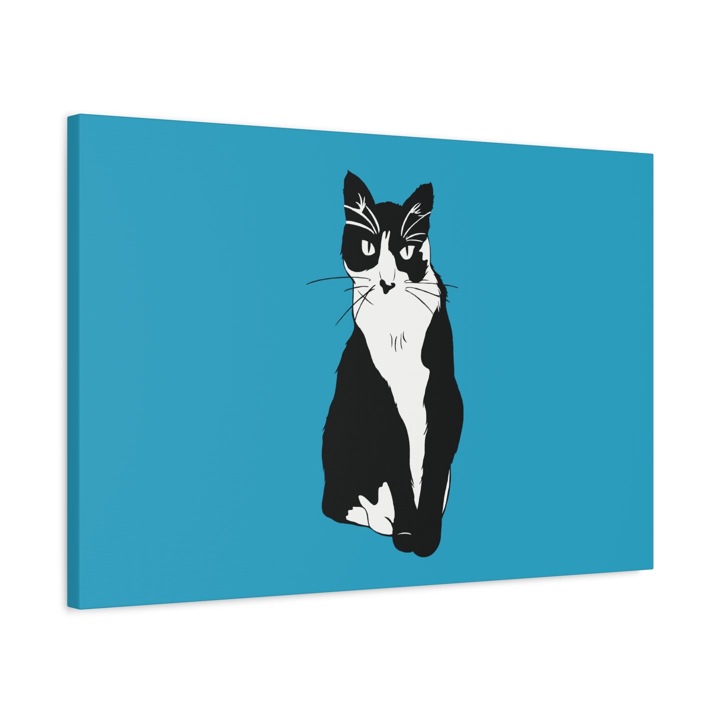 Cat Canvas on Turquoise (B&W Style Cat) - Cat Drawing Art