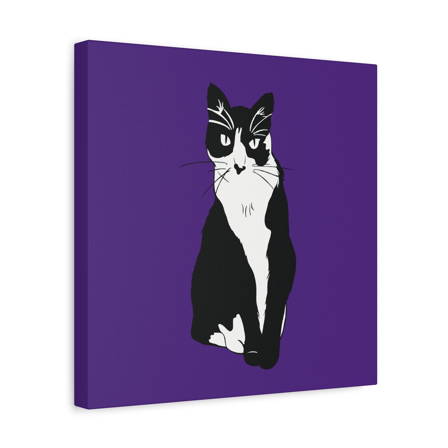 Cat Canvas on Purple (B&W Style Cat) - Cat Drawing Art