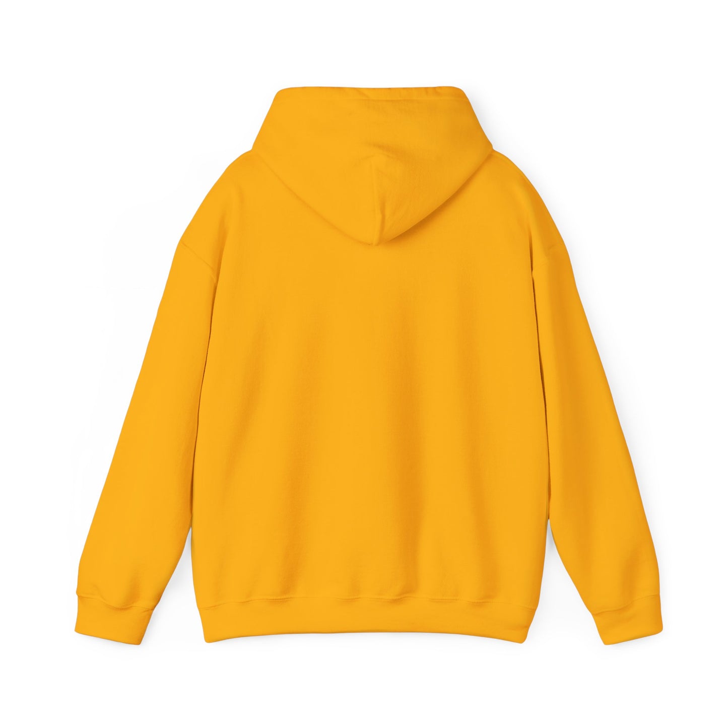 Cat x3 Hoodie (Transparent Style Cat) - Cat Hooded Sweatshirt