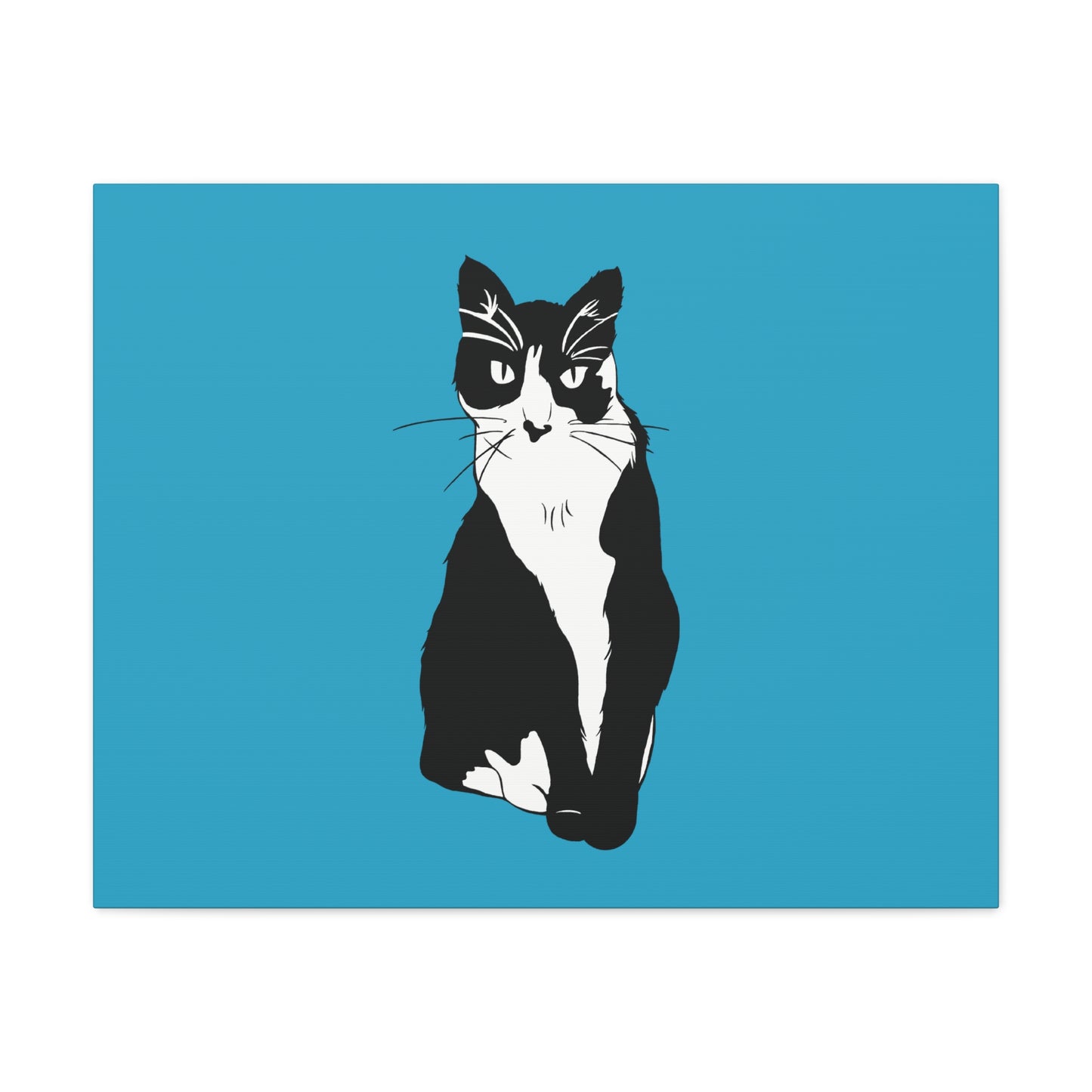 Cat Canvas on Turquoise (B&W Style Cat) - Cat Drawing Art